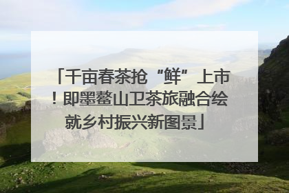 千亩春茶抢“鲜”上市！即墨鳌山卫茶旅融合绘就乡村振兴新图景