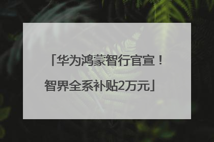 华为鸿蒙智行官宣！智界全系补贴2万元