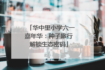 华中里小学六一嘉年华：种子旅行解锁生态密码