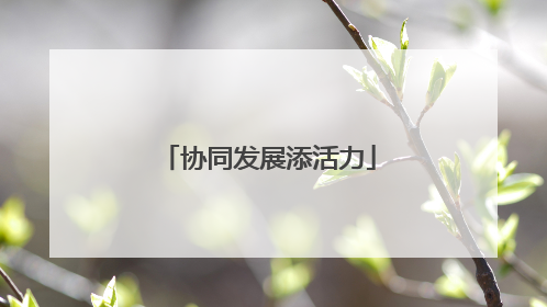协同发展添活力