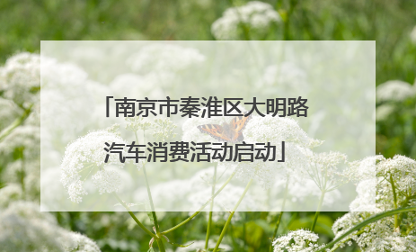 南京市秦淮区大明路汽车消费活动启动