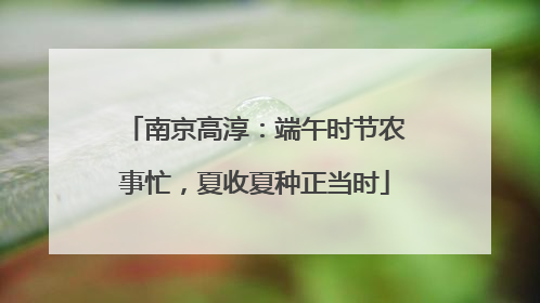 南京高淳：端午时节农事忙，夏收夏种正当时