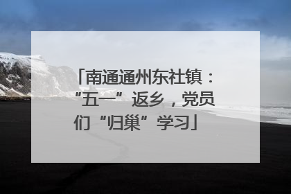 南通通州东社镇：“五一”返乡，党员们“归巢”学习