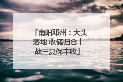 南阳邓州：大头落地 收储归仓丨战三夏保丰收