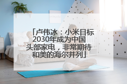 卢伟冰：小米目标2030年成为中国头部家电，非常期待和美的海尔并列