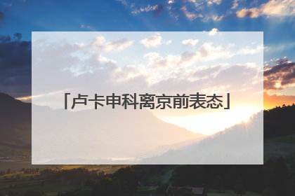 卢卡申科离京前表态