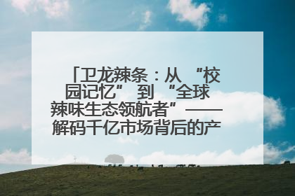 卫龙辣条：从 “校园记忆” 到 “全球辣味生态领航者”——解码千亿市场背后的产品创新与全链路破圈