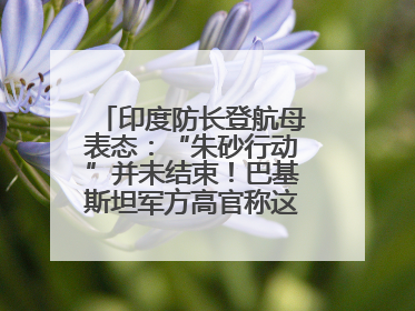 印度防长登航母表态：“朱砂行动”并未结束！巴基斯坦军方高官称这是一种危险的状况……