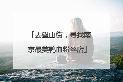 去望山街，寻找南京最美鸭血粉丝店