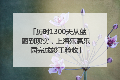 历时1300天从蓝图到现实，上海乐高乐园完成竣工验收