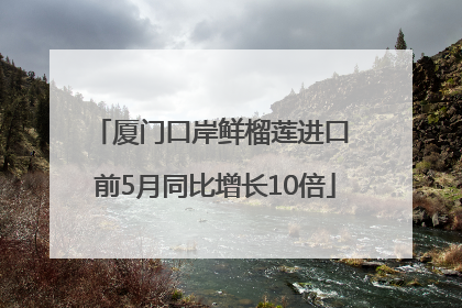 厦门口岸鲜榴莲进口 前5月同比增长10倍