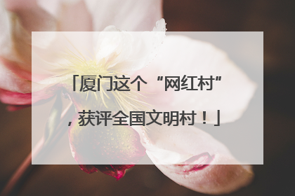 厦门这个“网红村”，获评全国文明村！