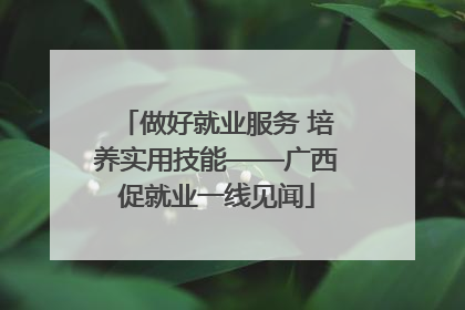 做好就业服务 培养实用技能——广西促就业一线见闻