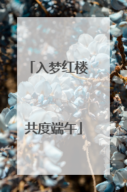 入梦红楼 共度端午