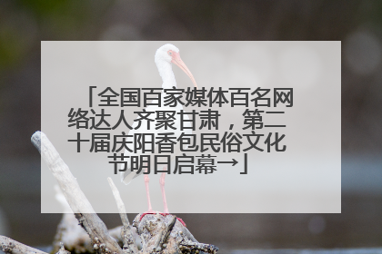 全国百家媒体百名网络达人齐聚甘肃，第二十届庆阳香包民俗文化节明日启幕→