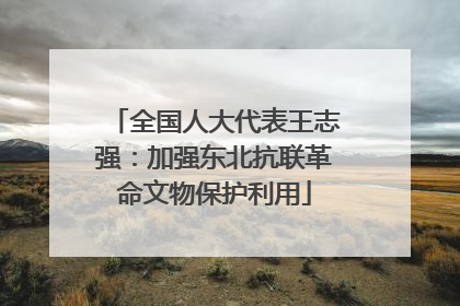 全国人大代表王志强：加强东北抗联革命文物保护利用