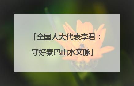 全国人大代表李君：守好秦巴山水文脉