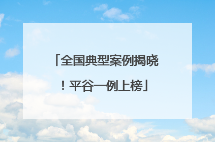 全国典型案例揭晓！平谷一例上榜