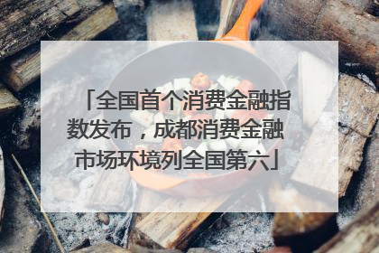 全国首个消费金融指数发布，成都消费金融市场环境列全国第六