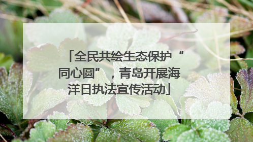 全民共绘生态保护“同心圆”，青岛开展海洋日执法宣传活动