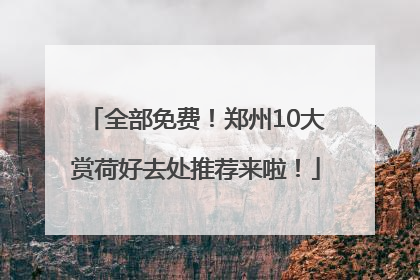 全部免费！郑州10大赏荷好去处推荐来啦！