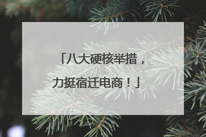 八大硬核举措，力挺宿迁电商！