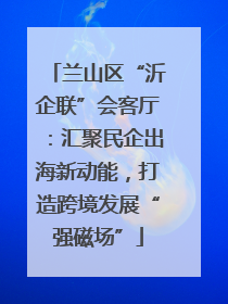 兰山区“沂企联”会客厅：汇聚民企出海新动能，打造跨境发展“强磁场”
