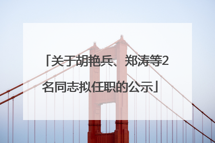 关于胡艳兵、郑涛等2名同志拟任职的公示