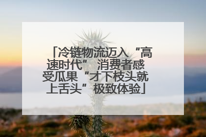冷链物流迈入“高速时代” 消费者感受瓜果“才下枝头就上舌头”极致体验