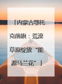 内蒙古鄂托克前旗：荒漠草原绽放“能源马兰花”