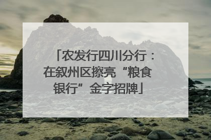 农发行四川分行：在叙州区擦亮“粮食银行”金字招牌