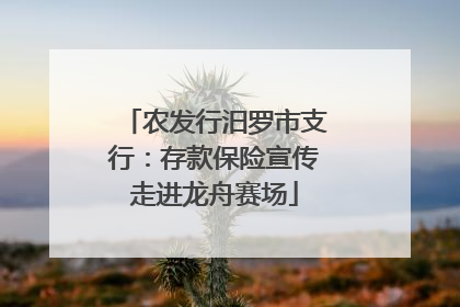 农发行汨罗市支行：存款保险宣传走进龙舟赛场