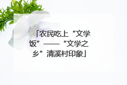 农民吃上“文学饭”——“文学之乡”清溪村印象