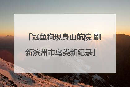 冠鱼狗现身山航院 刷新滨州市鸟类新纪录