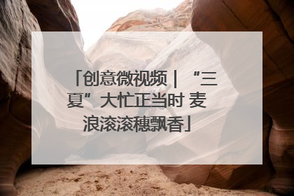创意微视频｜“三夏”大忙正当时 麦浪滚滚穗飘香