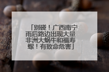 别碰！广西南宁雨后路边出现大量非洲大蜗牛和福寿螺！有致命危害