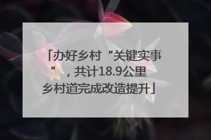 办好乡村“关键实事”，共计18.9公里乡村道完成改造提升
