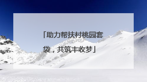 助力帮扶村桃园套袋，共筑丰收梦