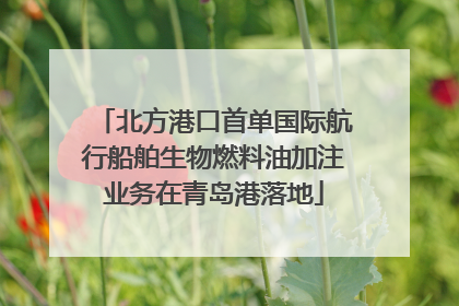 北方港口首单国际航行船舶生物燃料油加注业务在青岛港落地