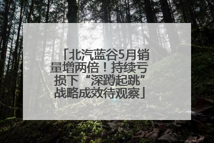 北汽蓝谷5月销量增两倍！持续亏损下“深蹲起跳”战略成效待观察