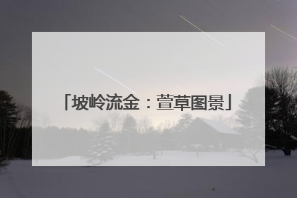 坡岭流金：萱草图景