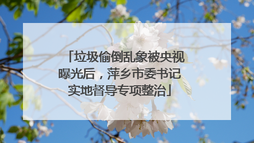 垃圾偷倒乱象被央视曝光后，萍乡市委书记实地督导专项整治