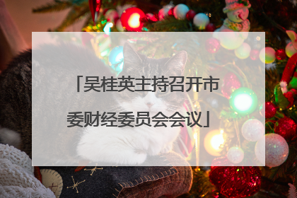 吴桂英主持召开市委财经委员会会议