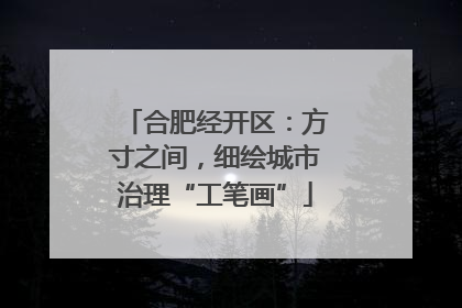 合肥经开区：方寸之间，细绘城市治理“工笔画”