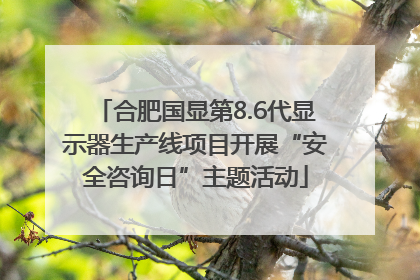 合肥国显第8.6代显示器生产线项目开展“安全咨询日”主题活动