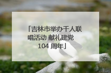 吉林市举办千人联唱活动 献礼建党 104 周年