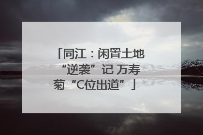 同江：闲置土地“逆袭”记 万寿菊“C位出道”