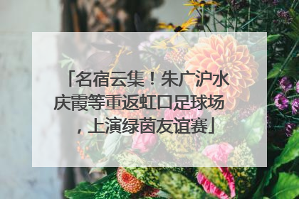 名宿云集！朱广沪水庆霞等重返虹口足球场，上演绿茵友谊赛