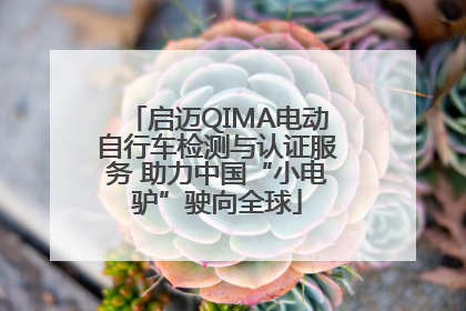 启迈QIMA电动自行车检测与认证服务 助力中国“小电驴”驶向全球