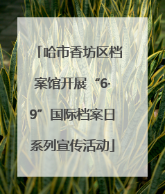 哈市香坊区档案馆开展“6·9”国际档案日系列宣传活动